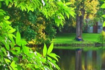 Photo #14