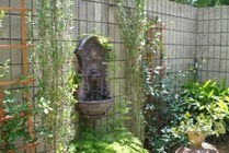 Photo #7