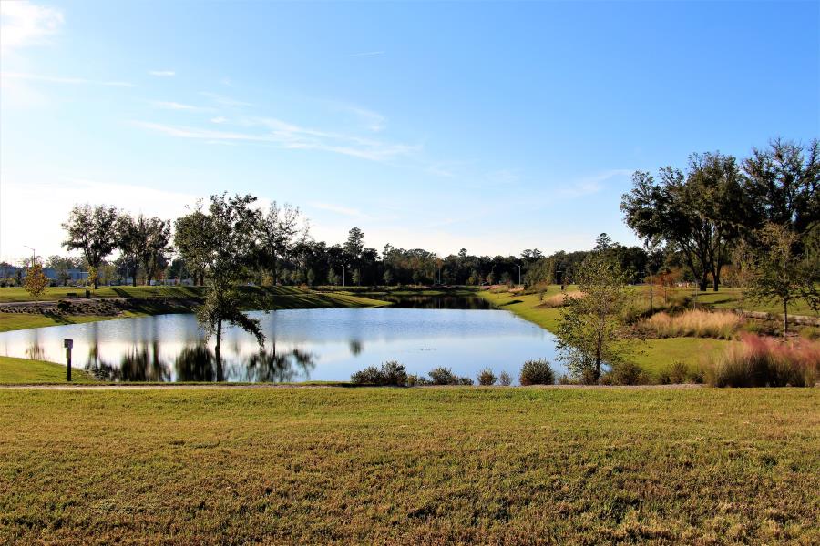 Butler North Footpath Pond