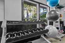 Cabana-Beach-Gainesville-Apartments-Near-University-of-Florida-Fitness-Center-Weights