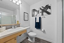 Cabana-Beach-Gainesville-Apartments-Near-University-of-Florida-Private-Bathroom(1)