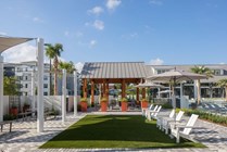 Campus Circle Gainesville - Pool Deck - Morning Lawn