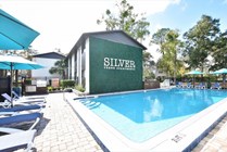 Take advantage of brand new amenities at sister property, Silver Creek! Pictured here: pool with plenty of comfortable chairs and umbrellas.