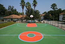 Pick up a Game of BBall! 