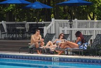 Photo #31