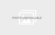 Photo of Mount Vernon