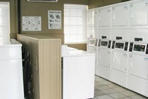 Photo #8