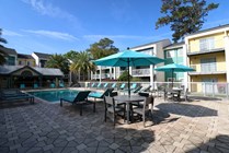Resort Style Pool