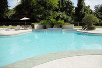Photo #4