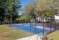 BLVD Gainesville - Outdoor Basketball Court