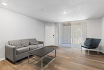 Newly Renovated Living Room