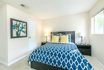 APARTMENTS FOR RENT IN  GAINESVILLE, FL