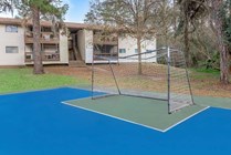 SPORTS COURT