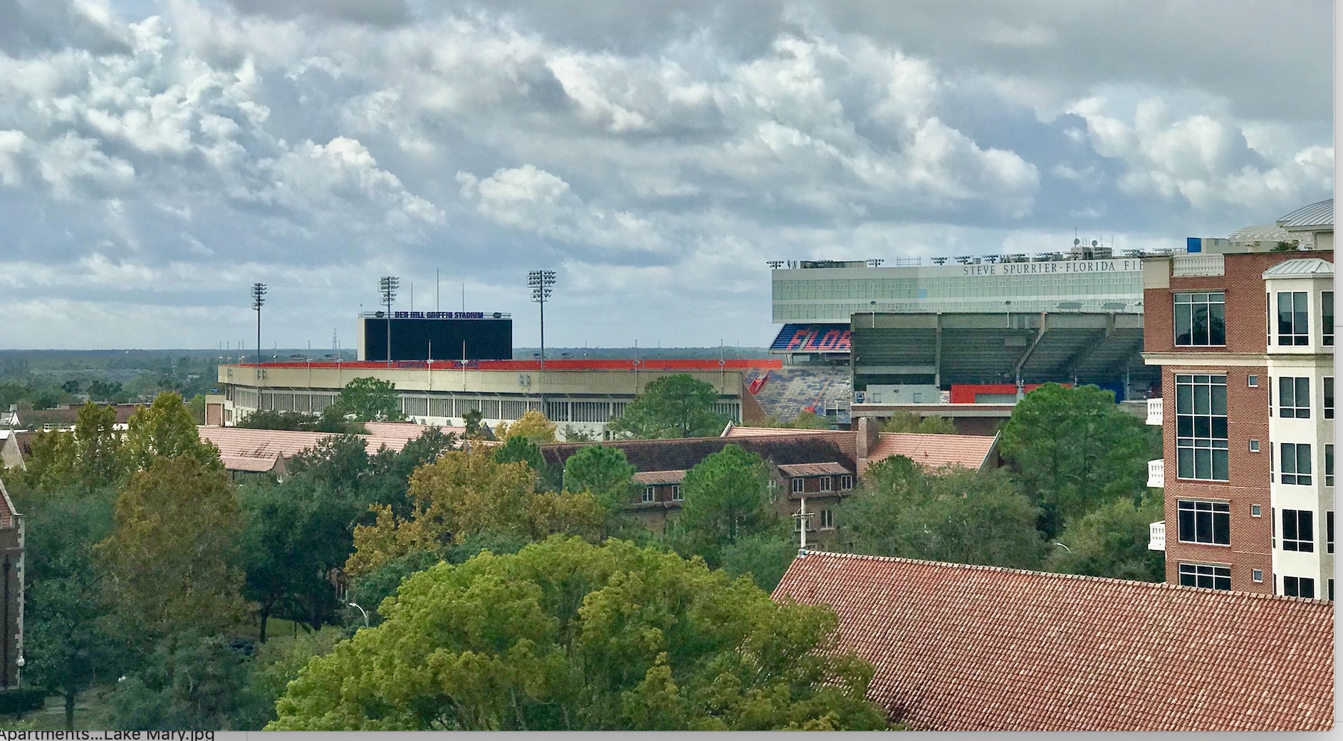 View from Midtown Apartments