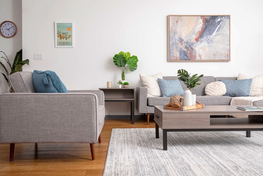 Canopy Apartments living room