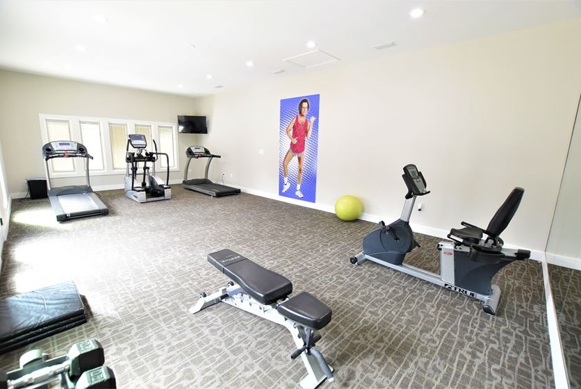 Seaboard Apartments in Gainesville, Florida Swamp Rentals