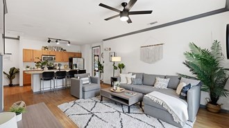 Canopy Apartments