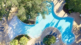 Canopy Apartments