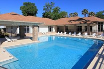 Make New Friends Poolside