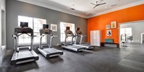 Fitness Centers